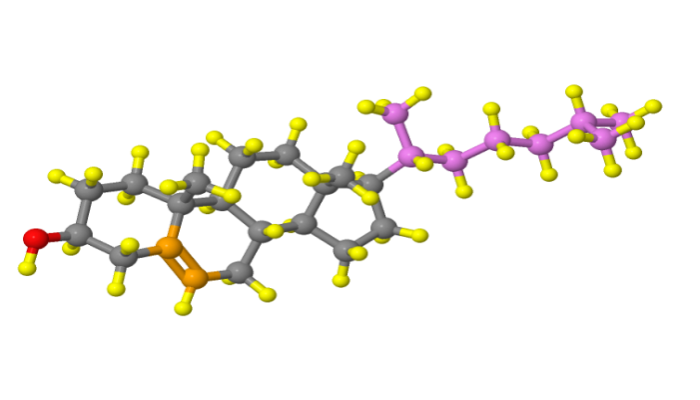 Cholesterol molecule - created using Jmol Application